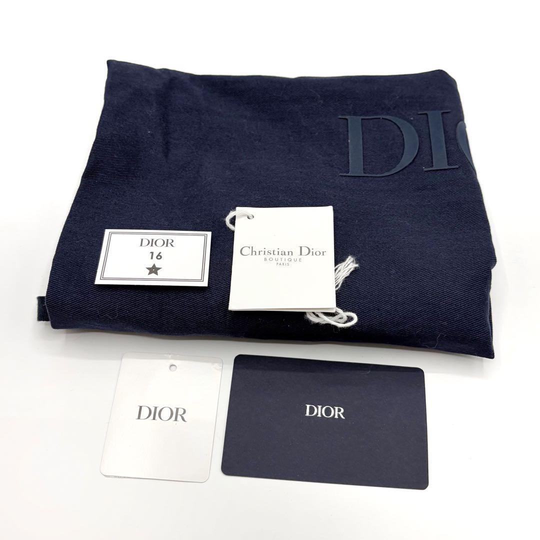 ⭐️ほぼ未使用⭐️ ディオール ティアーズ A5 ポーチ クラッチバッグ 11