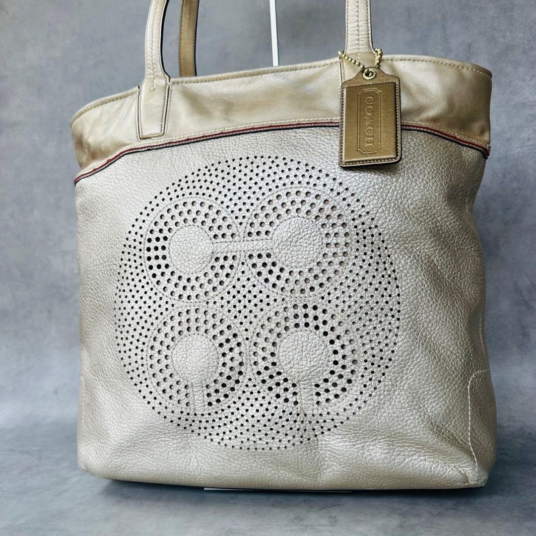 COACH Audrey Metallic Leather Tote Bag