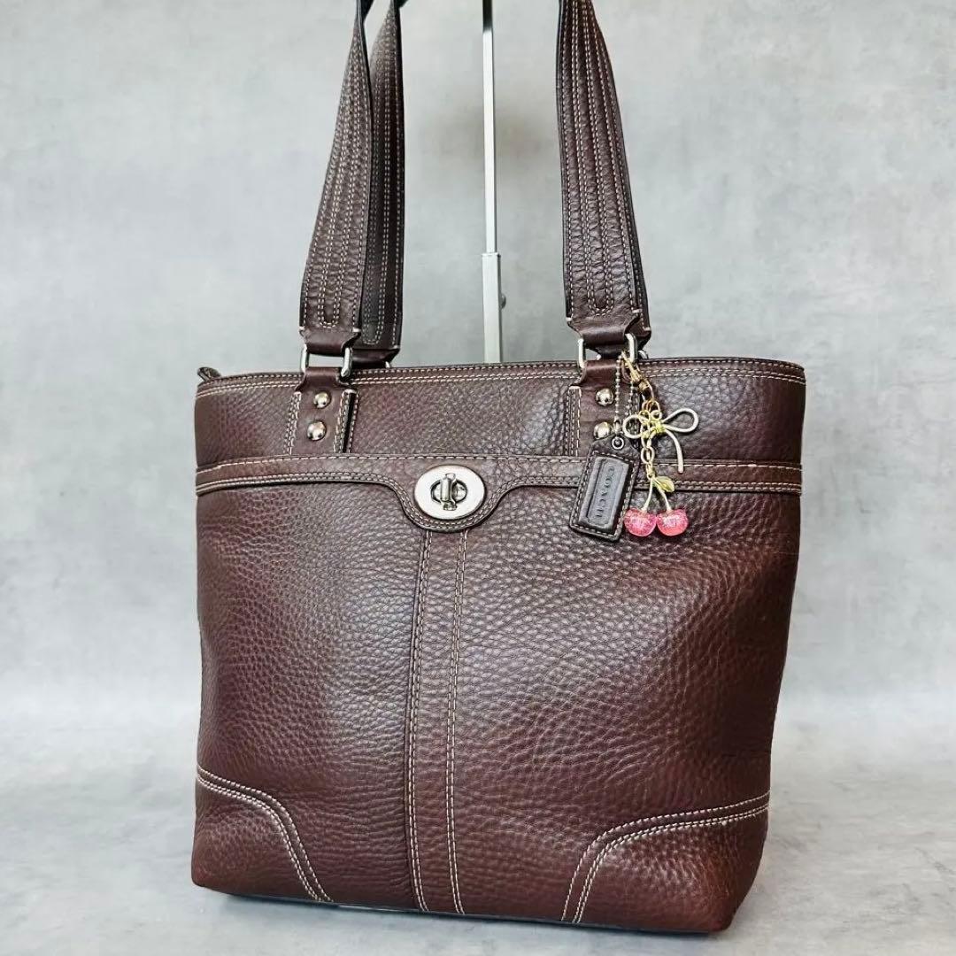 Y2K COACH Hamptons Leather Lunch Totebag