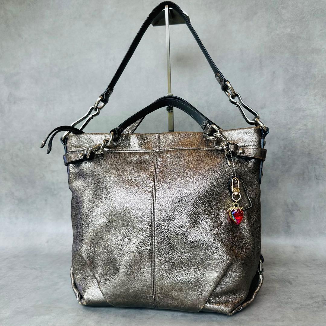 Y2K COACH Brook Hobo Metallic 2way Bag