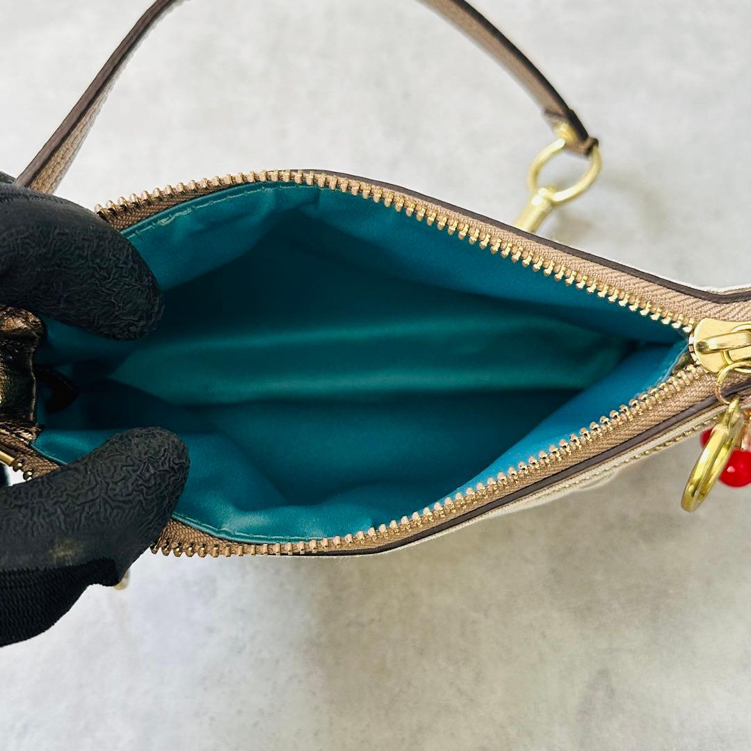 Y2K COACH Poppy Signature AccessoryPouch 11