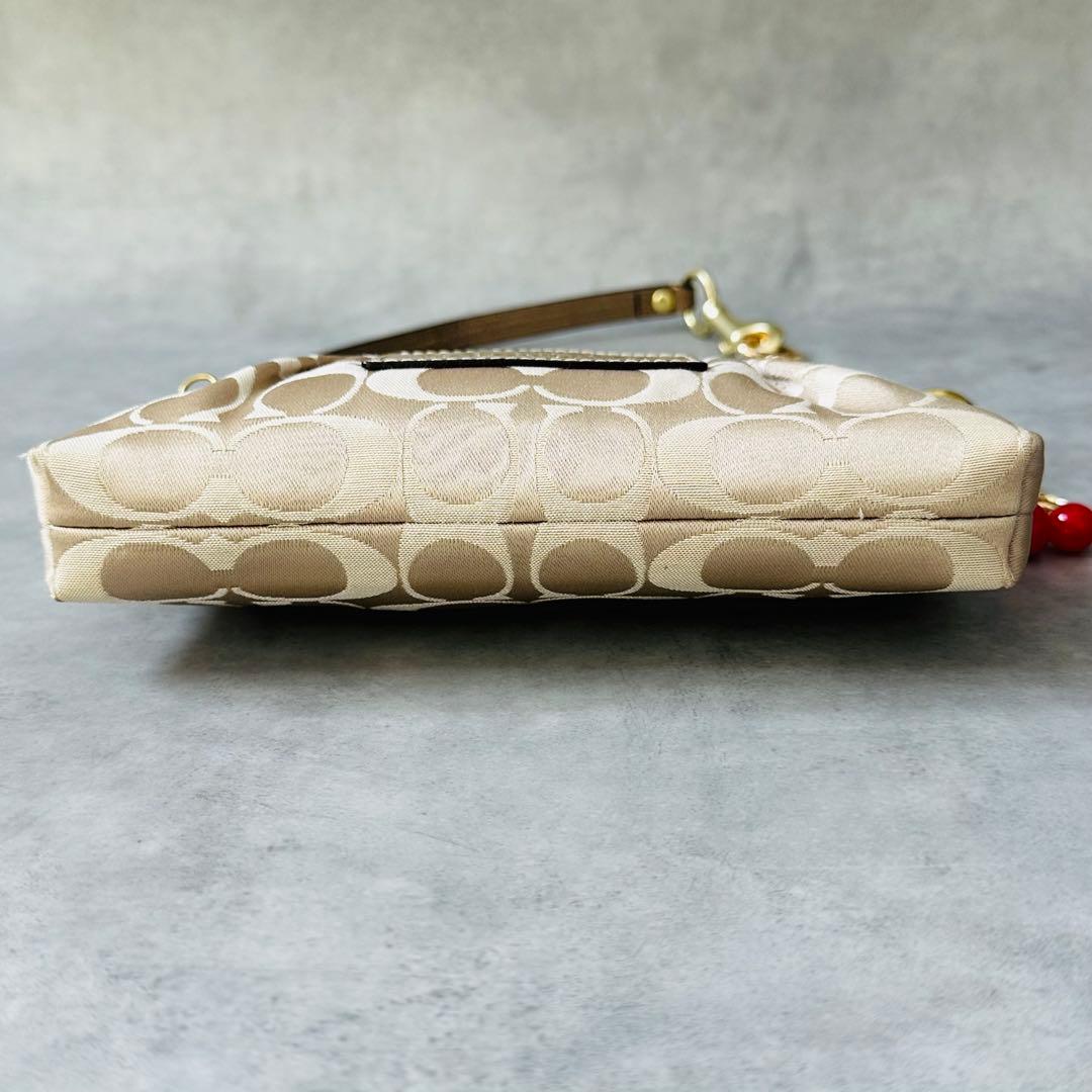 Y2K COACH Poppy Signature AccessoryPouch 8