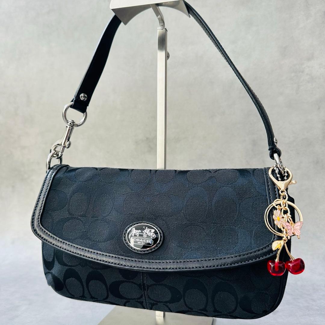 Y2K COACH Signature Hobo Flap Bag