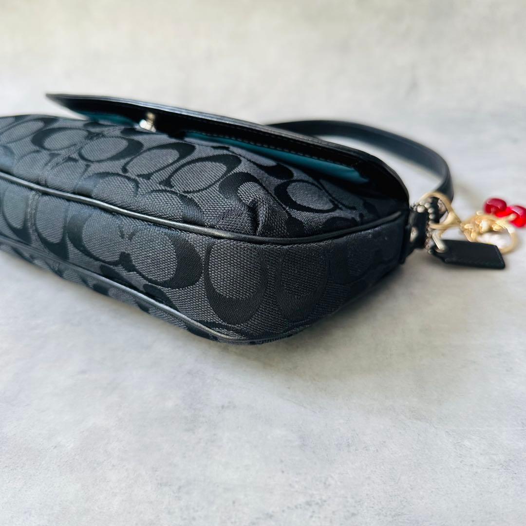 Y2K COACH Signature Hobo Flap Bag 11