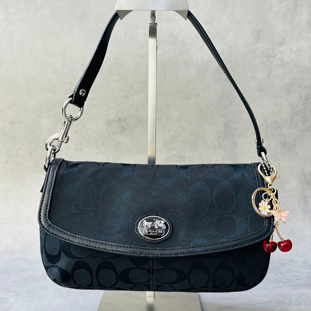 Y2K COACH Signature Hobo Flap Bag 3