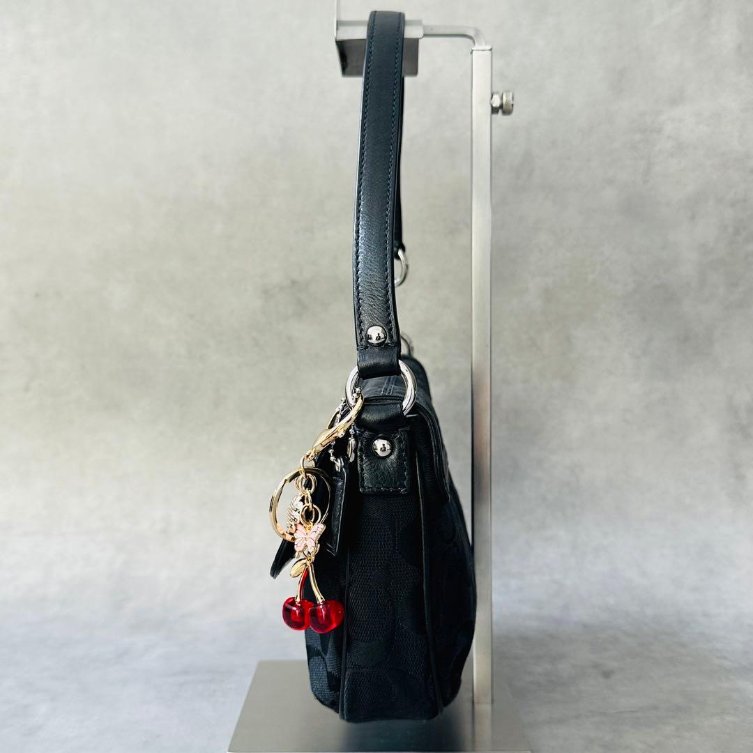 Y2K COACH Signature Hobo Flap Bag 5