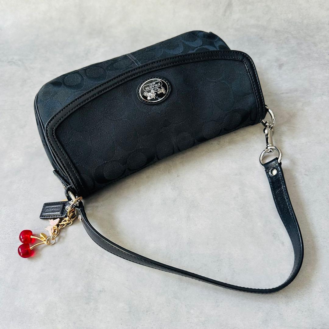 Y2K COACH Signature Hobo Flap Bag 7