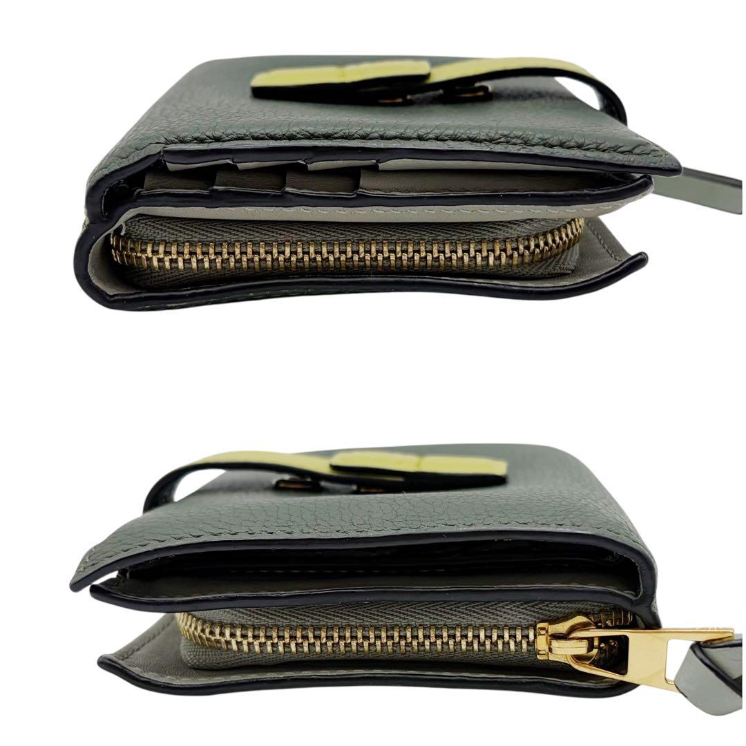 ⭐️良品⭐️ ロエベ コンパクトジップウォレット 二つ折り財布 グリーン 9