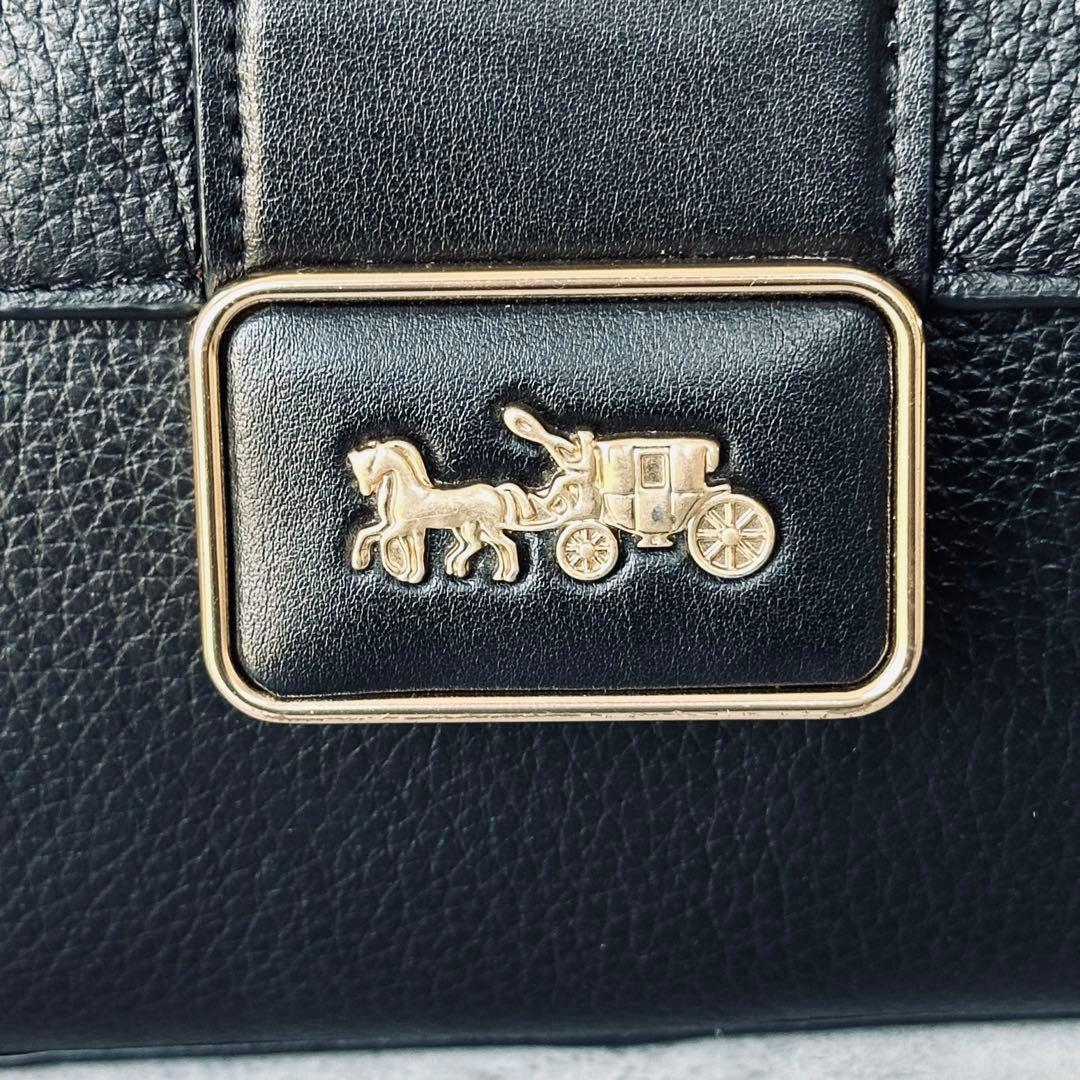 COACH Horsecarriage Mini Grace Crossbody 14