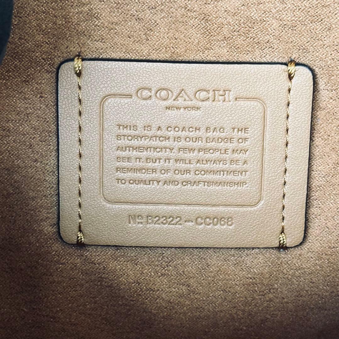 COACH Horsecarriage Mini Grace Crossbody 19