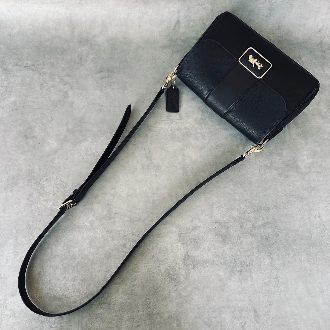 COACH Horsecarriage Mini Grace Crossbody 6