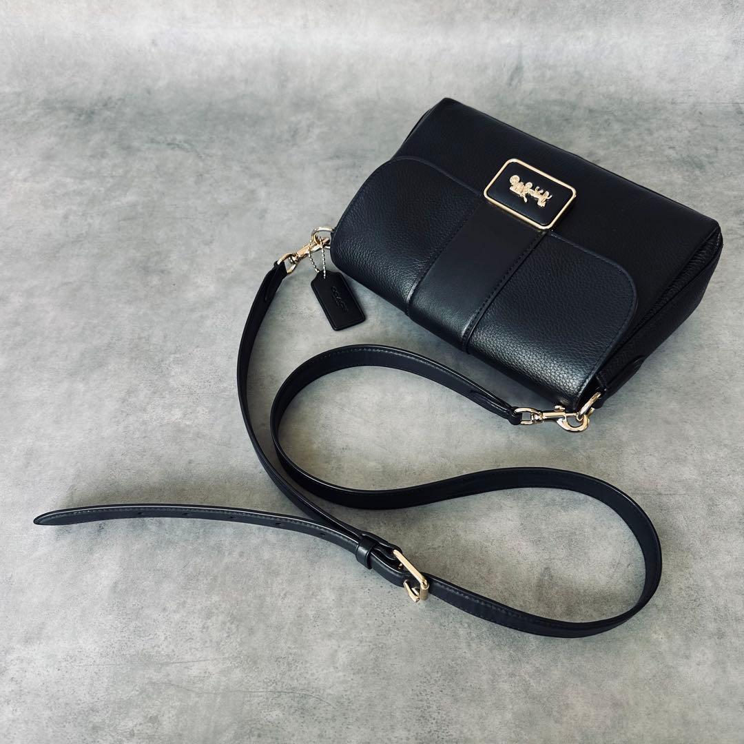 COACH Horsecarriage Mini Grace Crossbody 7