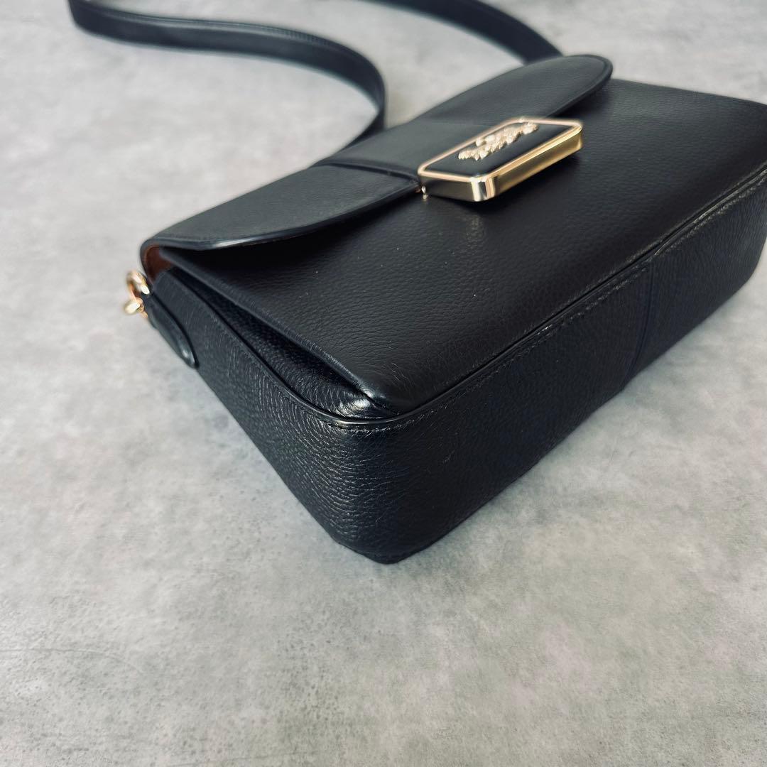 COACH Horsecarriage Mini Grace Crossbody 10