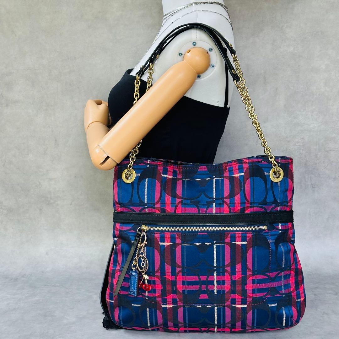 Y2K COACH Check Signature Chain 3way Bag 2