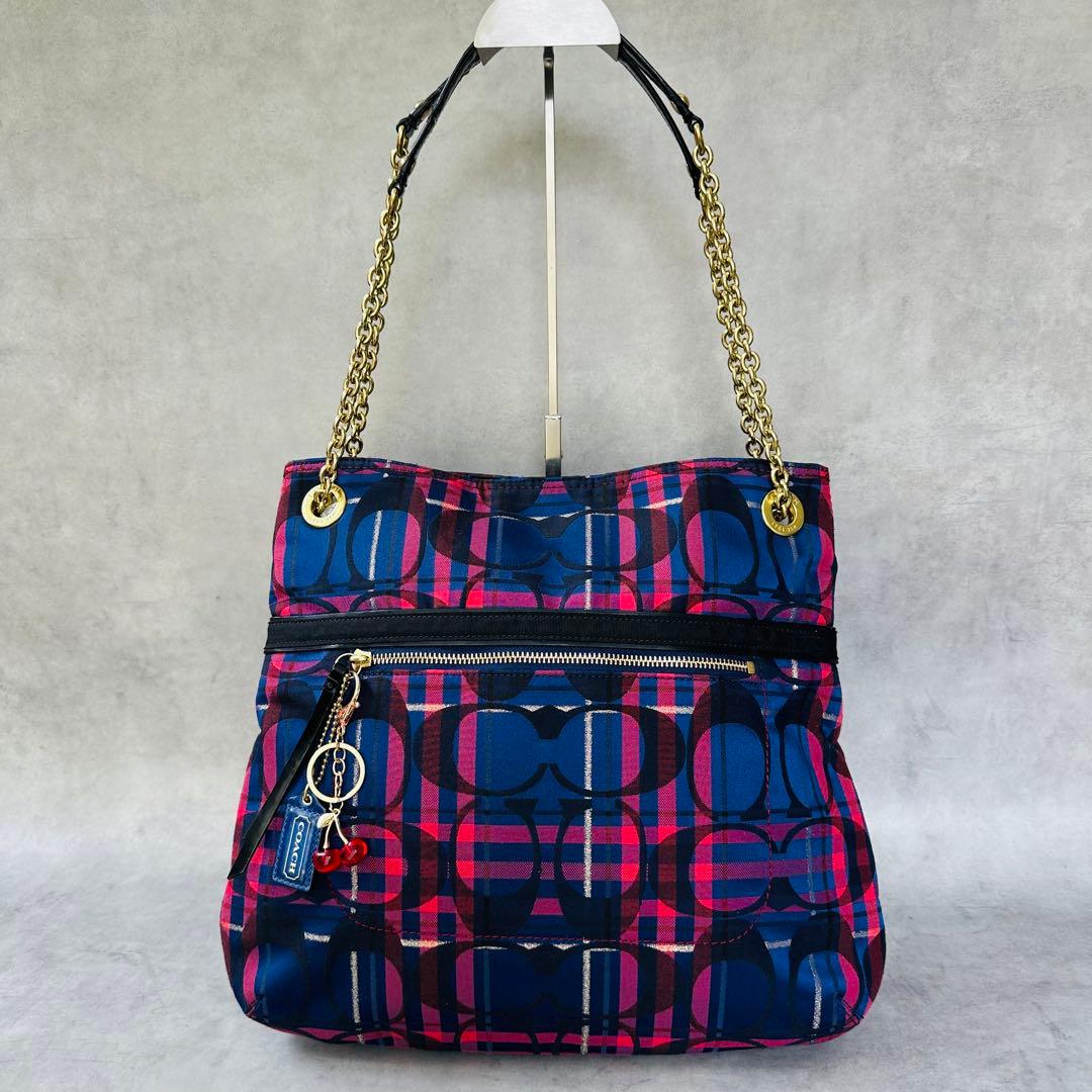 Y2K COACH Check Signature Chain 3way Bag 4