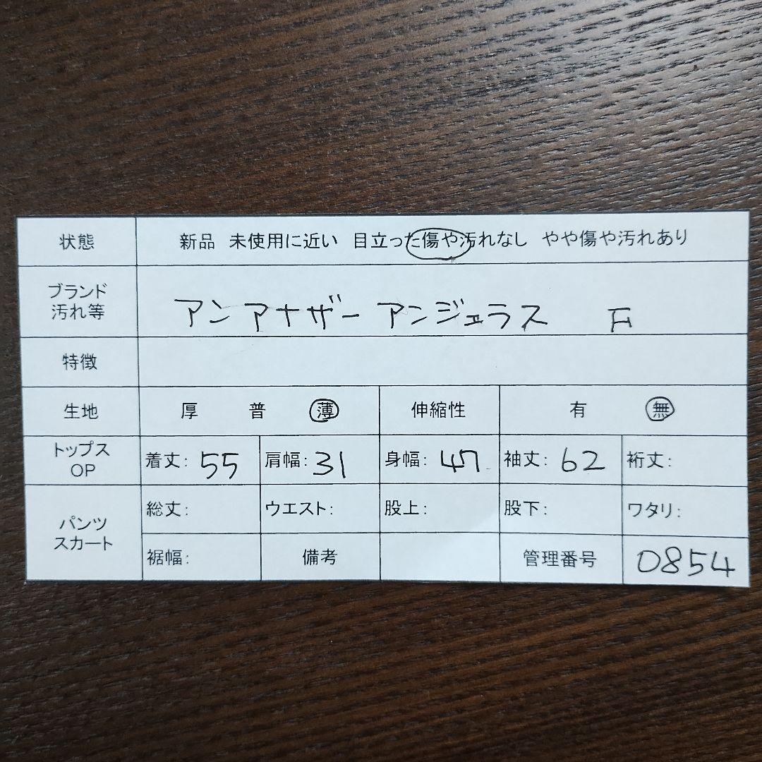 アンアナザーアンジュラス ピンク Vネック 長袖ブラウス F バルーン袖 柔らか 12
