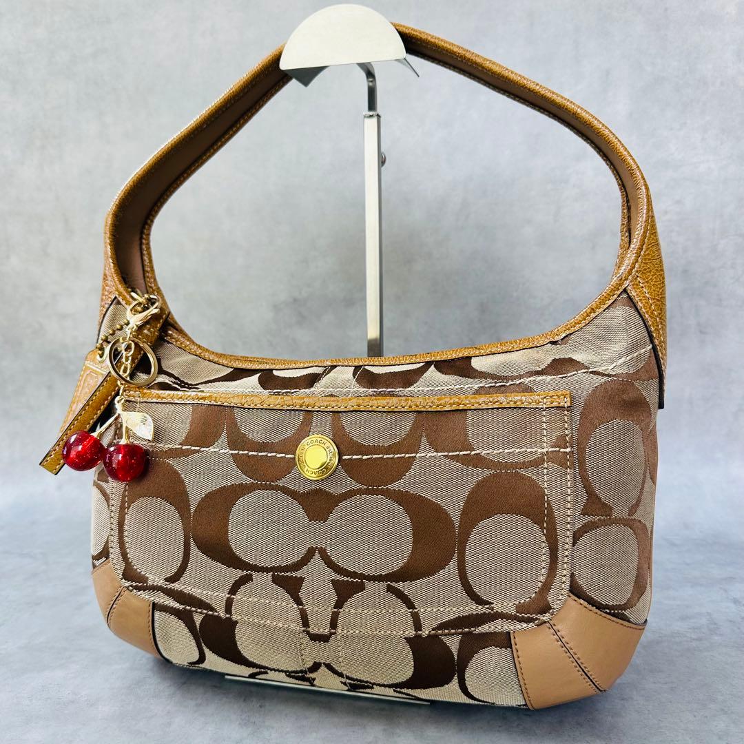 Y2K COACH Ergo Signature Hobo Bag