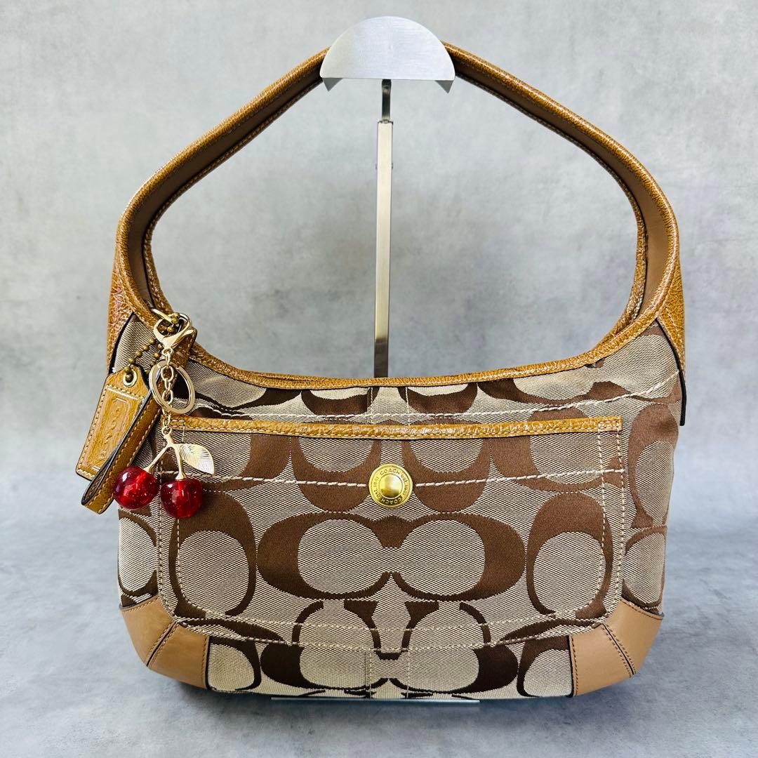 Y2K COACH Ergo Signature Hobo Bag 2