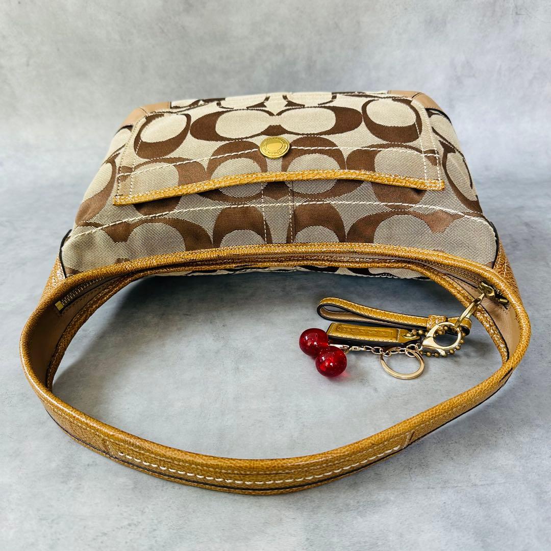 Y2K COACH Ergo Signature Hobo Bag 7