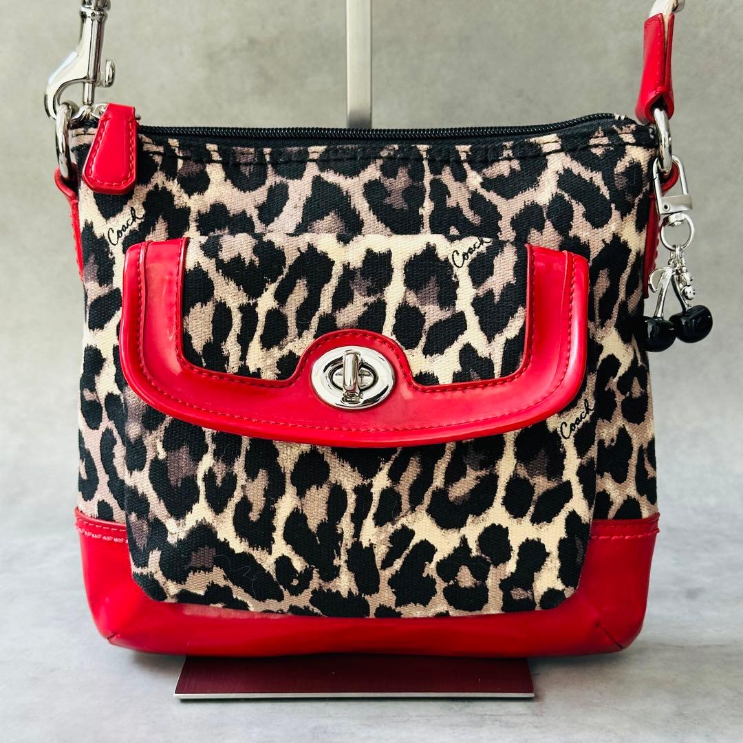 Y2K COACH Leopard 2way Shoulder bag 5
